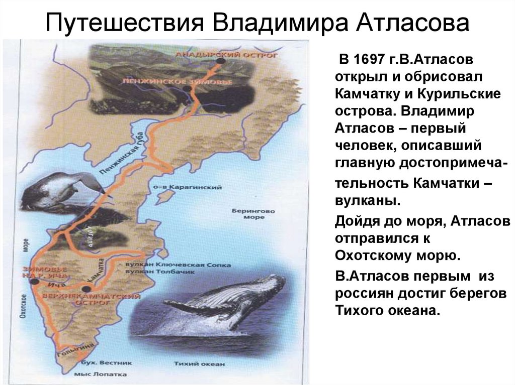 Кто направил первую экспедицию на полуостров камчатка. Атласов Владимир Васильевич маршрут путешествия. Владимир Васильевич атласов открытие Камчатки. Владимир атласов 1697 1699 открытие. Владимир атласов географические открытия.