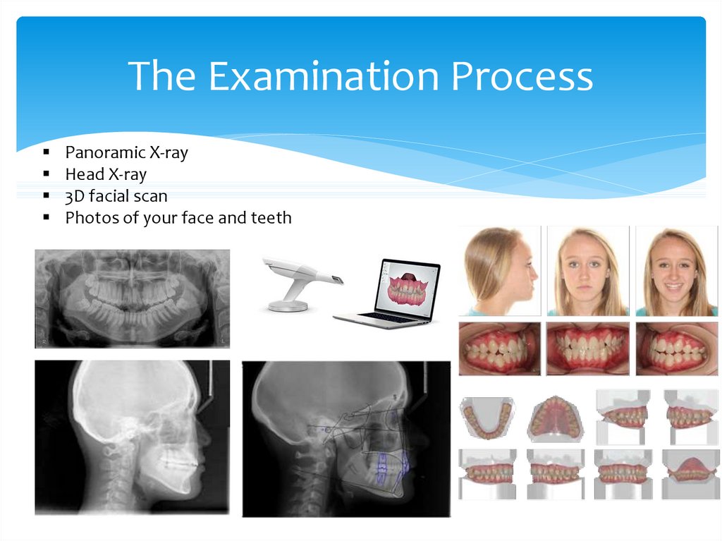 The Examination Process