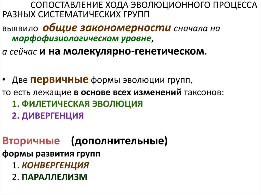 Основные эволюционные процессы. Формы эволюции групп. Формы эволюции групп Филетическая дивергентная параллелизм. 2. Формы эволюции групп (Филетическая, дивергентная, параллелизм).. Общие закономерности эволюции.