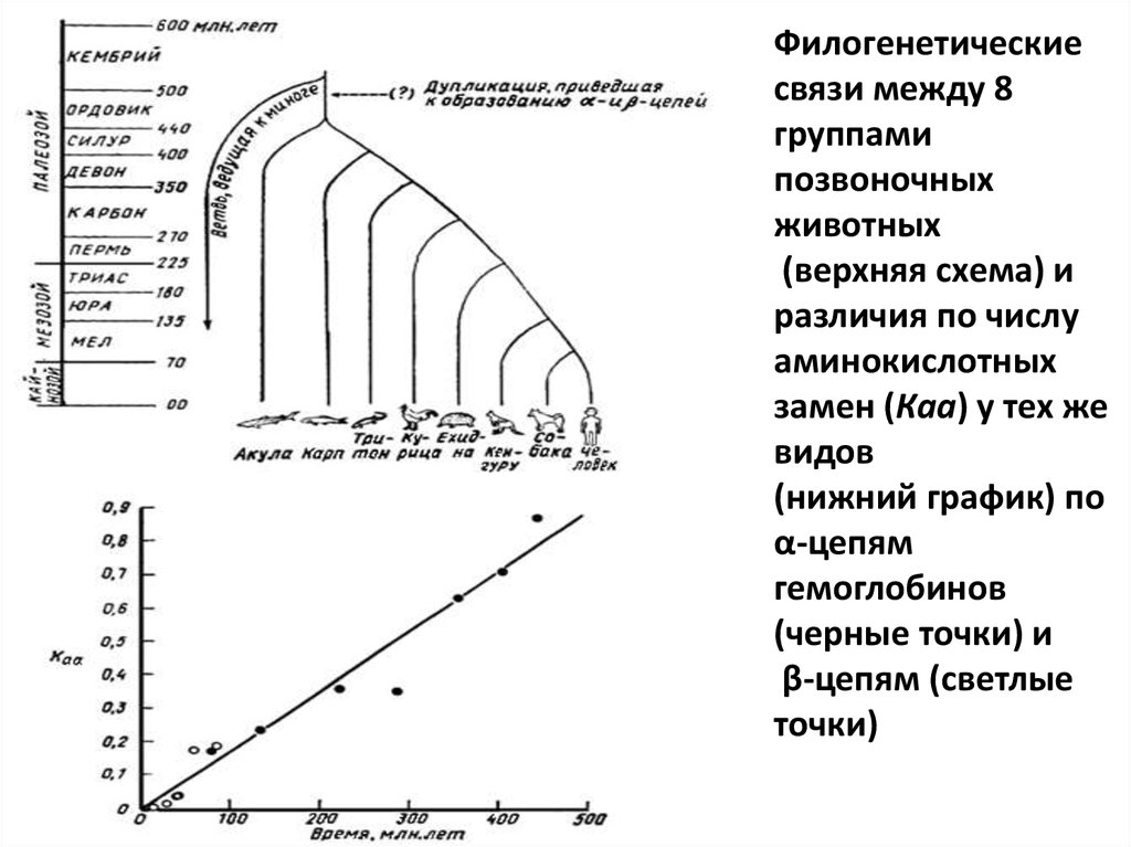 Эволюция групп интересов схема