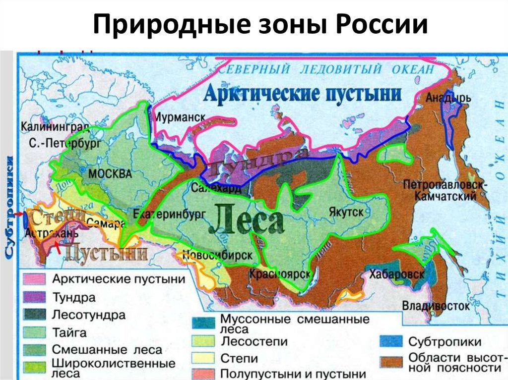 В какой зоне находится город москва. Карта природных зон России. Природные зоны России на карте с названиями. Расположение природных зон на карте России. Тайга природная зона на карте.