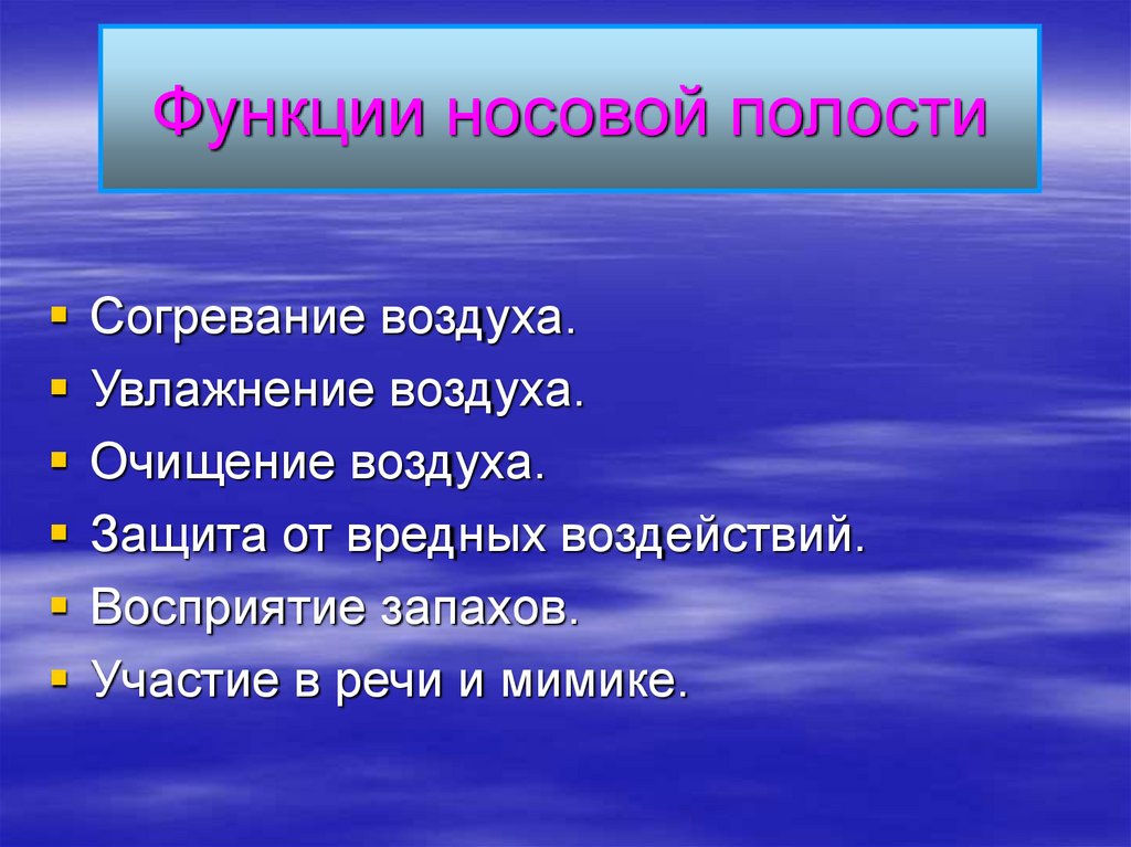 1 из функций носовой полости является