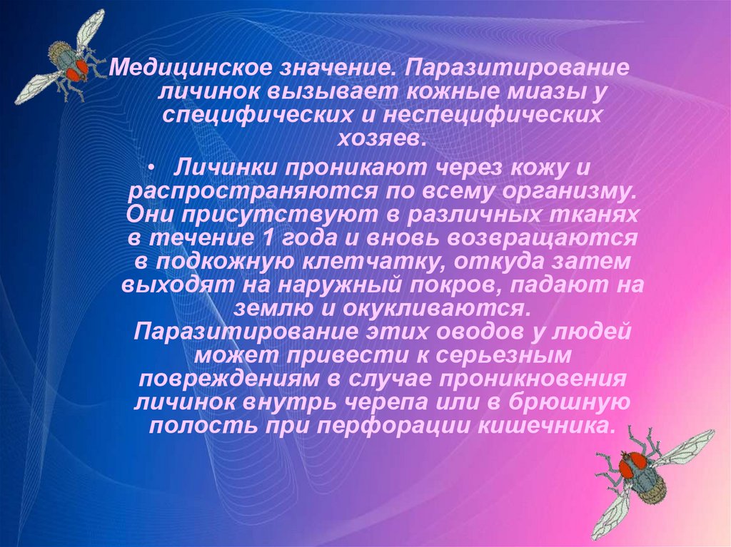 Значение медицины. Медицинское значение. Оводы медицинское значение. Значение здравоохранения. Медицинское значение миазов.