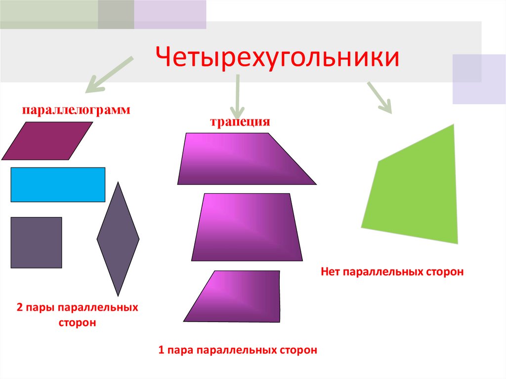 Параллелограмм треугольник трапеция