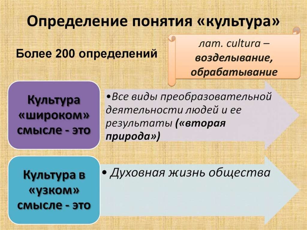 Место отдельного человека в жизни общества презентация