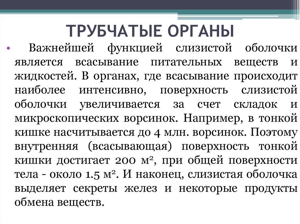 Трубчатые организмы