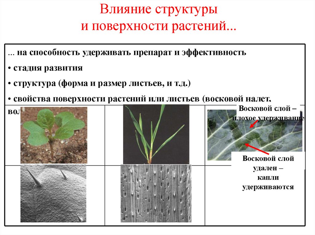 Структура воздействия