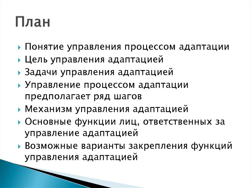 В чем суть процесса адаптации