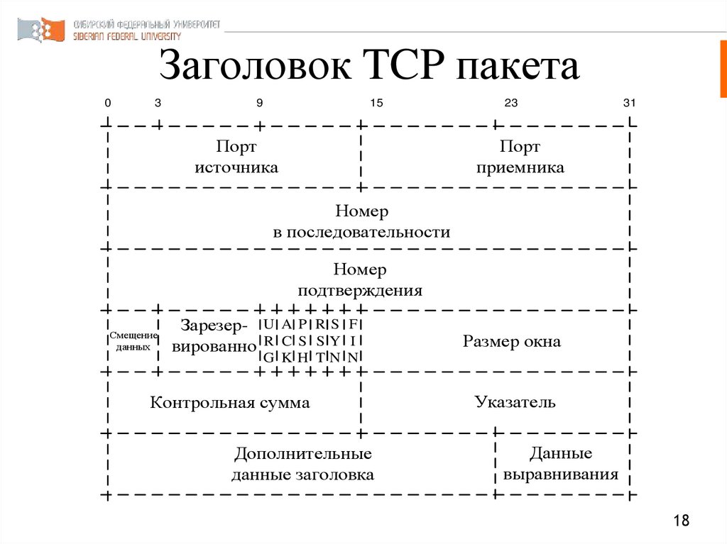 Заголовок TCP пакета