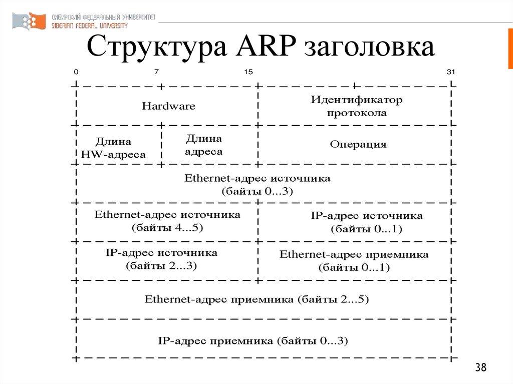 Структура ARP заголовка