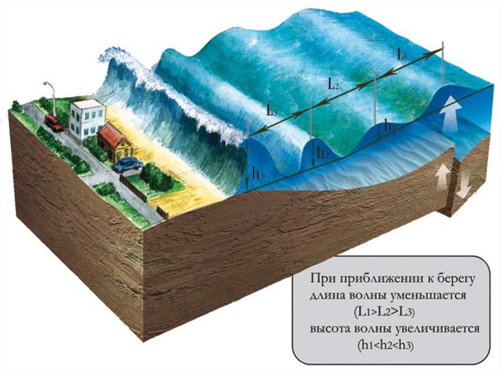 Почему происходит волны. ЦУНАМИ И сейсмические волны. ЦУНАМИ схема возникновения. ЦУНАМИ вызванные подводными землетрясениями. Причины возникновения волн ЦУНАМИ.