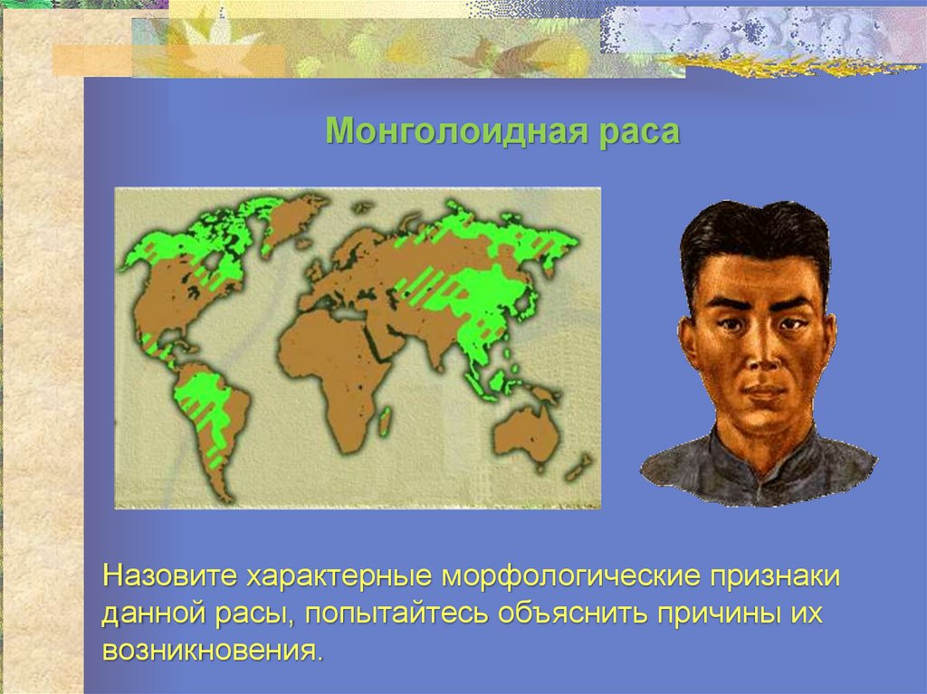 Какой морфологический признак не характеризует монголоидную расу. Монголоидная раса. Монголоидная раса характеристика. Признаки монголоидной расы человека. Причины монголоидной расы.