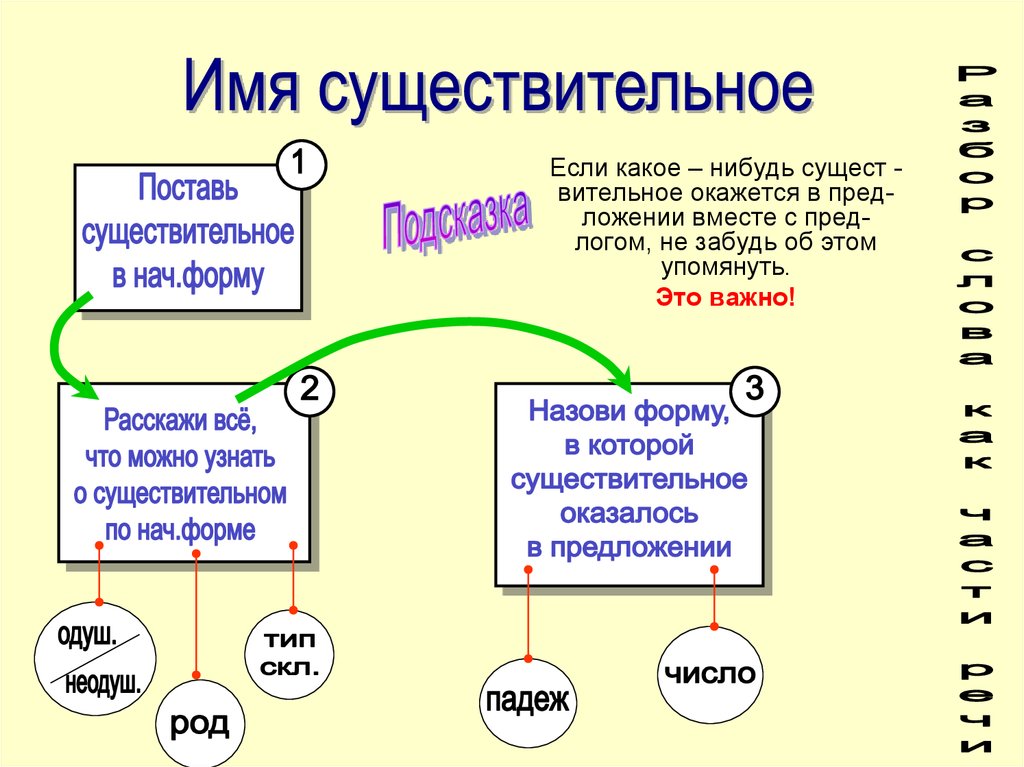 Составленные группы имен существительных. Алгоритмы правил по русскому языку. Памятка имя существительное. Памятка существительное. Алгоритмы по русскому языку для начальной школы.