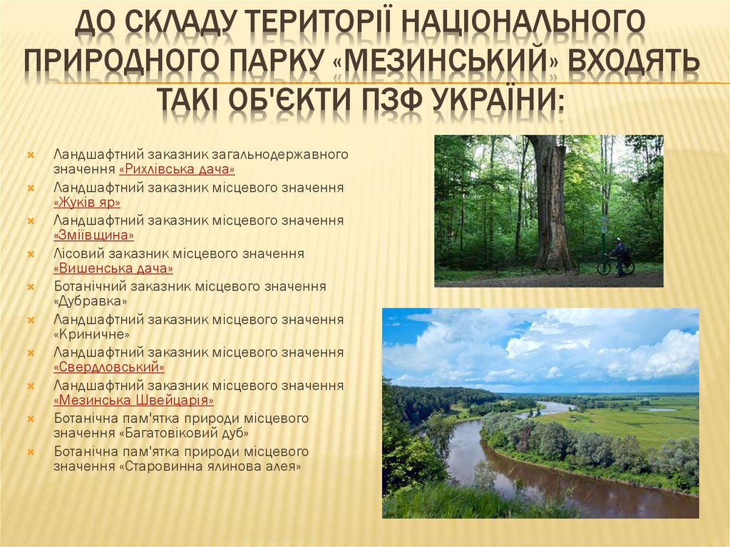 До складу території національного природного парку «Мезинський» входять такі об'єкти ПЗФ України:
