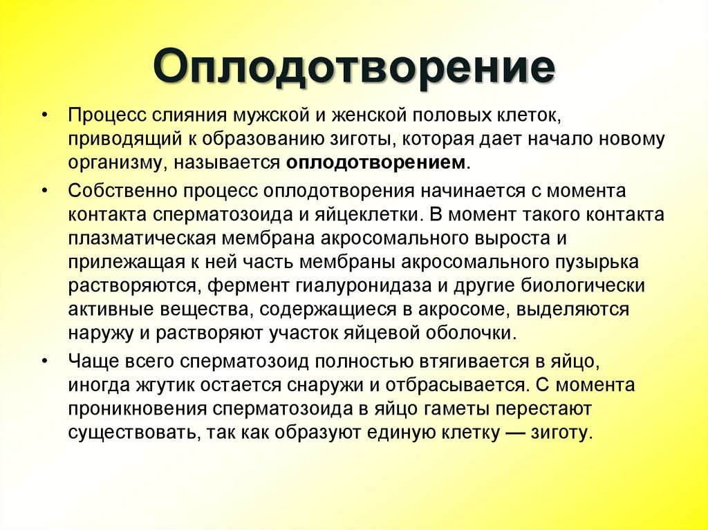 Начало оплодотворения. Оплодотворением называется процесс. Оплодотворение процесс слияния женских и мужских половых. Оплодотворение это слияние. Процесс слияния мужской и женской клеток.