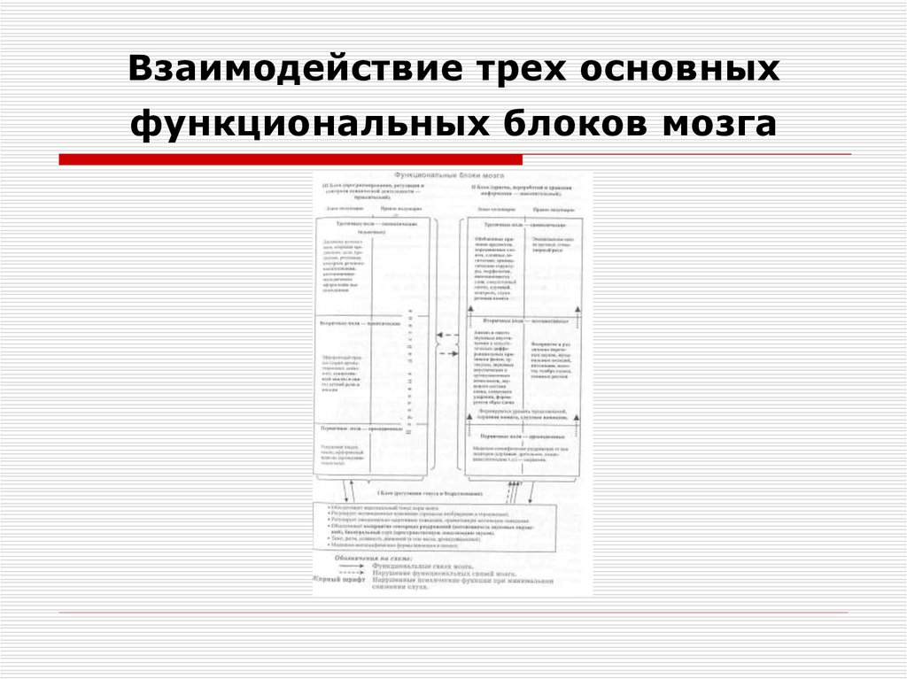 Функциональные блоки проекта