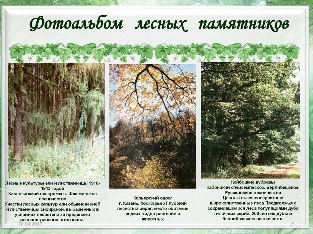 Фотоальбом лесных памятников