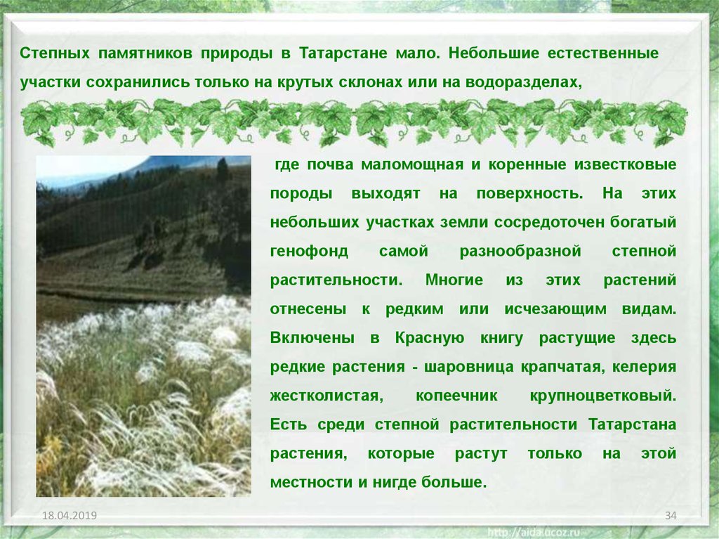 Степных памятников природы в Татарстане мало. Небольшие естественные участки сохранились только на крутых склонах или на