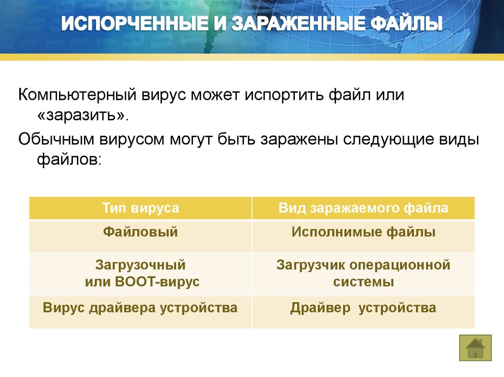 Компьютерные вирусы их классификация и средства борьбы с ними проект