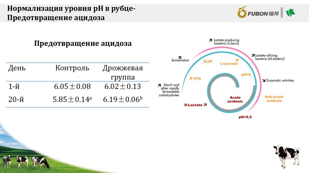 Нормализовать показатель. Нормализация показателей. Уровней нормализации. Нормализируй показатели уровень 8 игра.