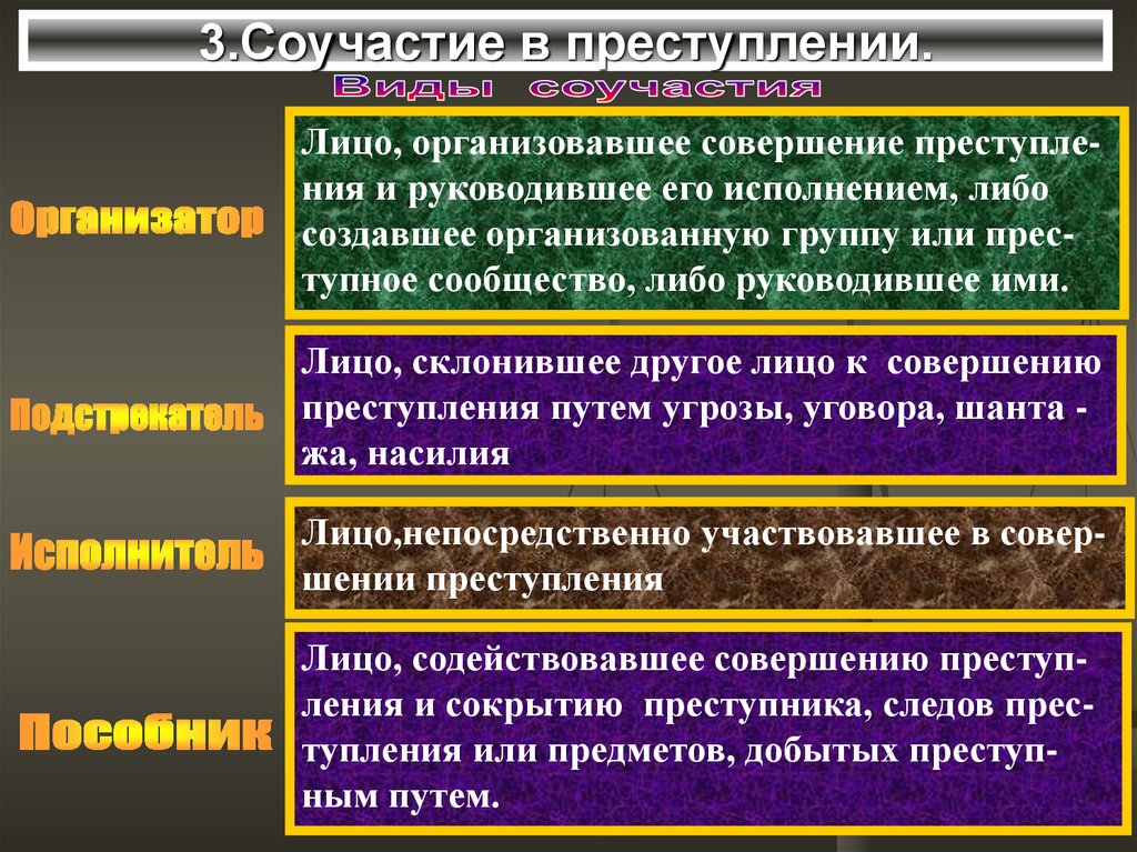 Формы соучастия презентация