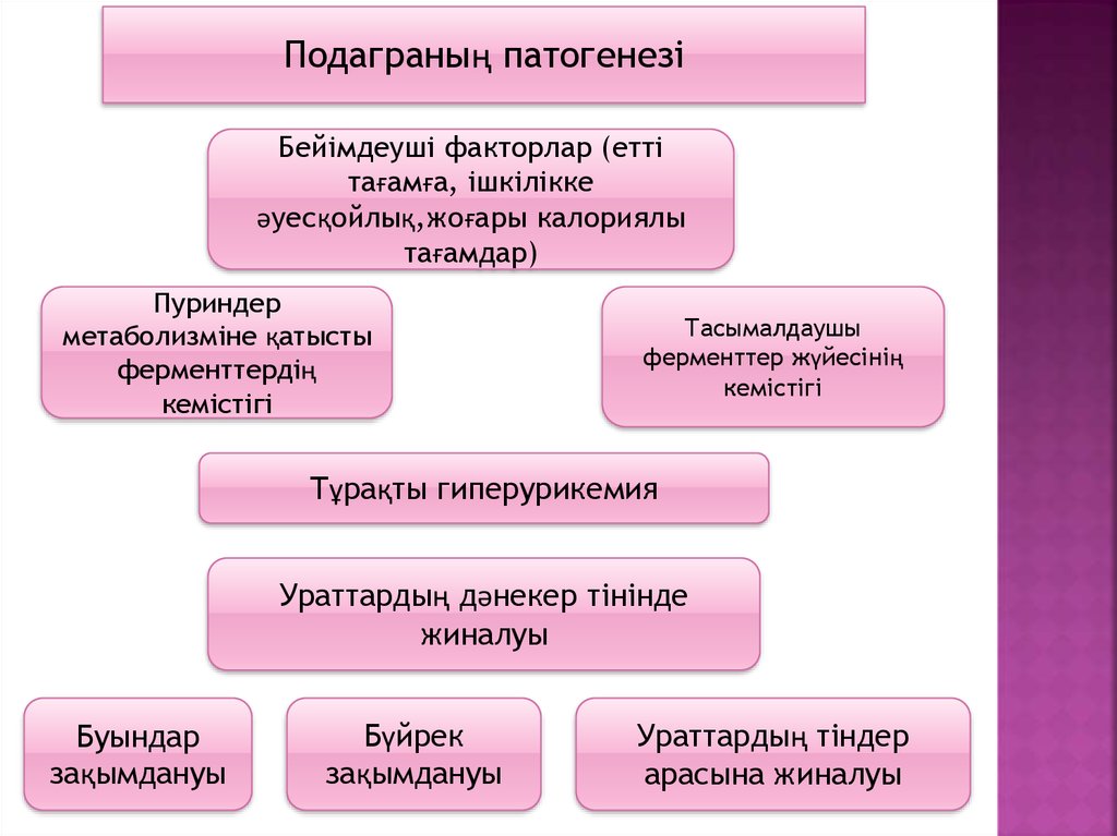 Презентация несеп тас ауруы