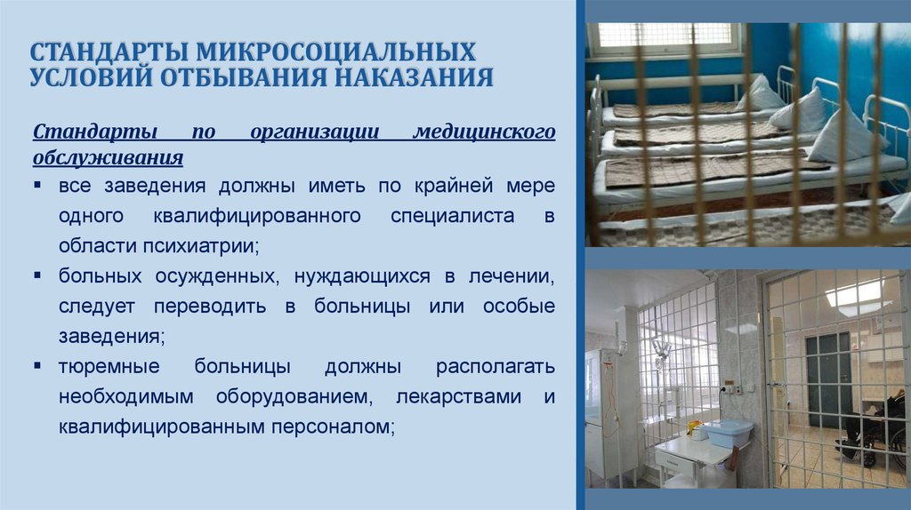Курсовая работа по теме Международные стандарты обращения с заключенными и осужденными в Республике Беларусь