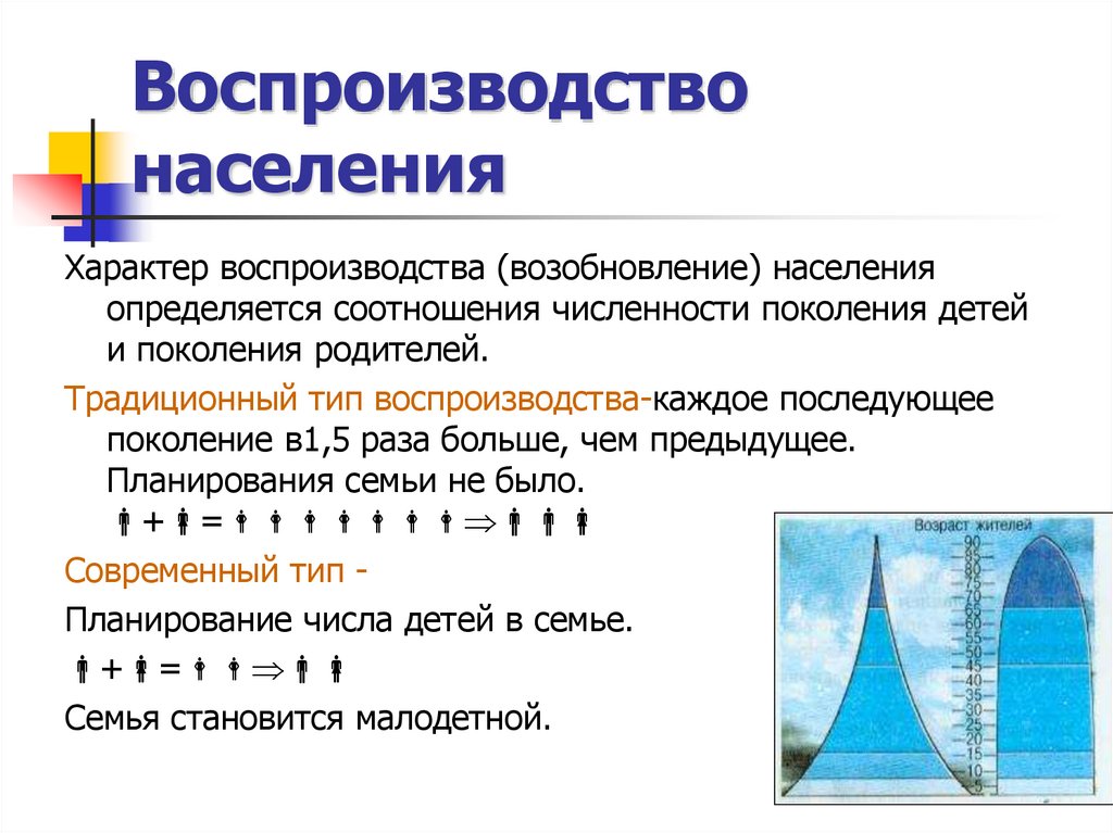 Население 8 класс