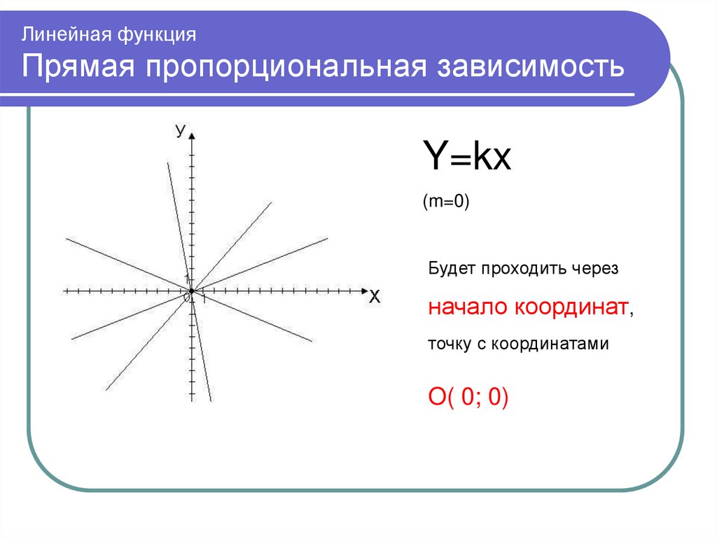 Презентация линейная функция в жизни человека