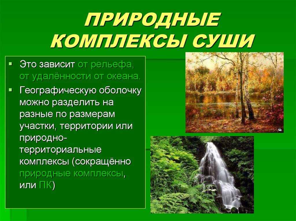 Выберите пример природного комплекса