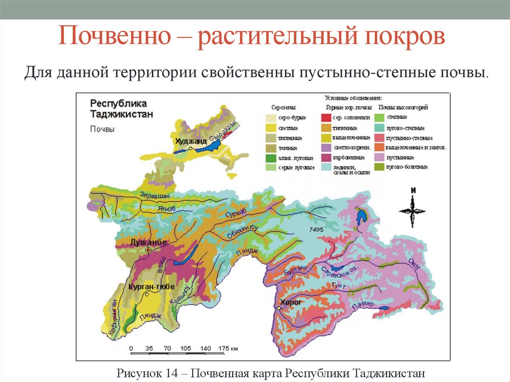 Классификация и изображение на картах почвенно растительного покрова