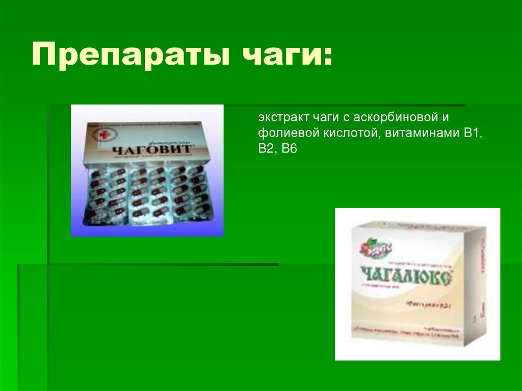 Препараты чаги. Чага препарат. Чага в таблетках. Элемент 03 чага в таблетках. Фитотерапия язвенной болезни.