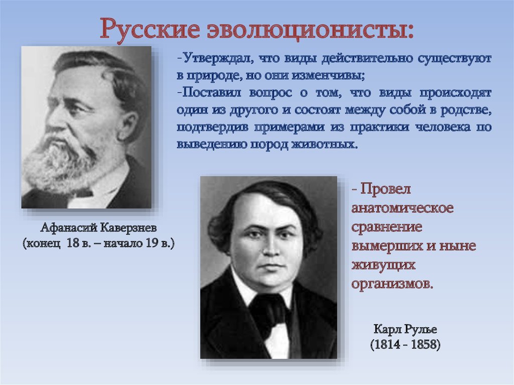 Русский теория 5. Каверзнев Афанасий Аввакумович. Каверзнев 1748. Афанасий Каверзнев эволюционист. Афанасий Каверзнев вклад в биологию.