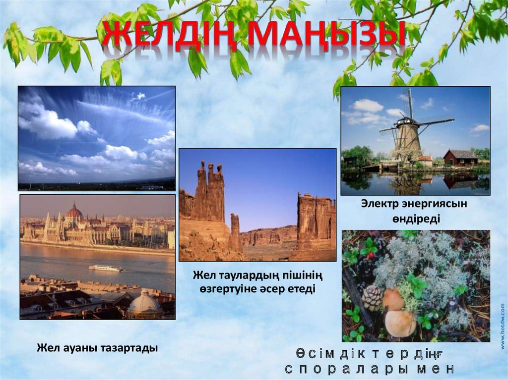 Жел және оның түрлері - online presentation