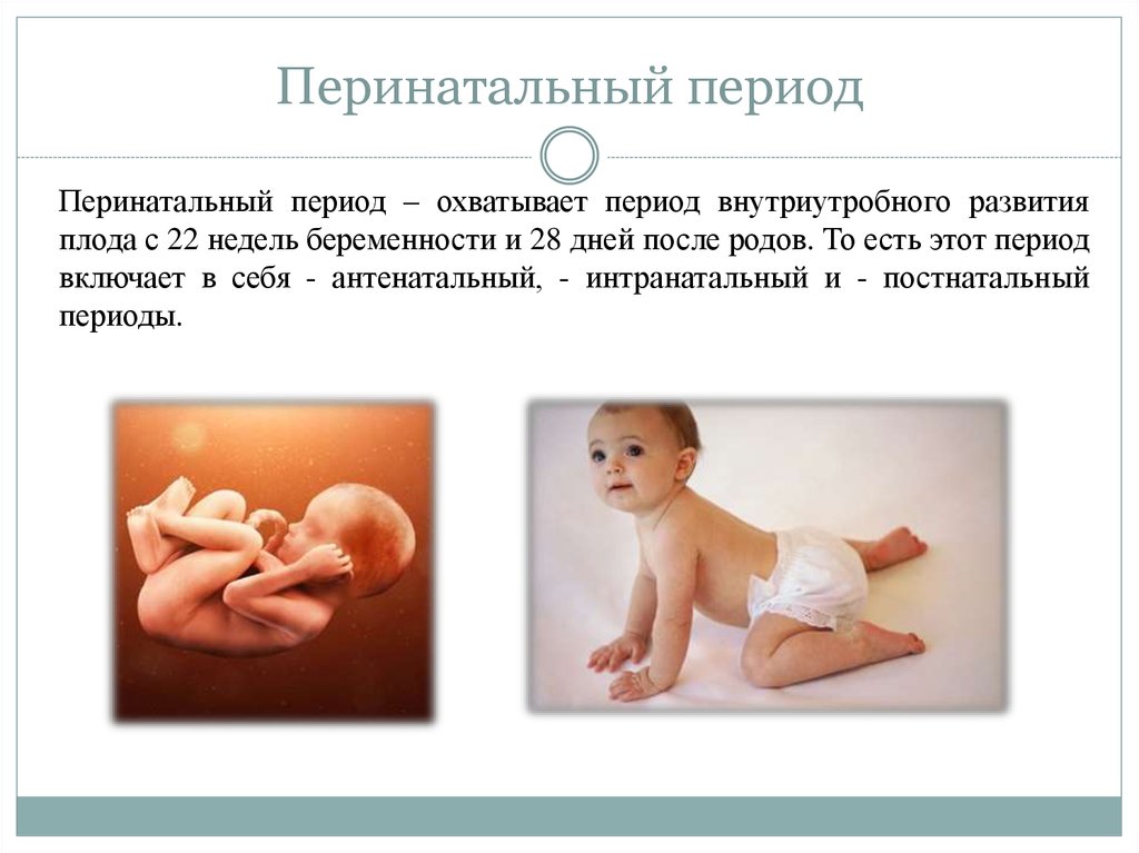 Внутриутробное развитие организма развитие после рождения. Антенатальный и перинатальный период это. Периоды перинатального развития. Перинатальный и постнатальный периоды. Пренатальный период развития это.
