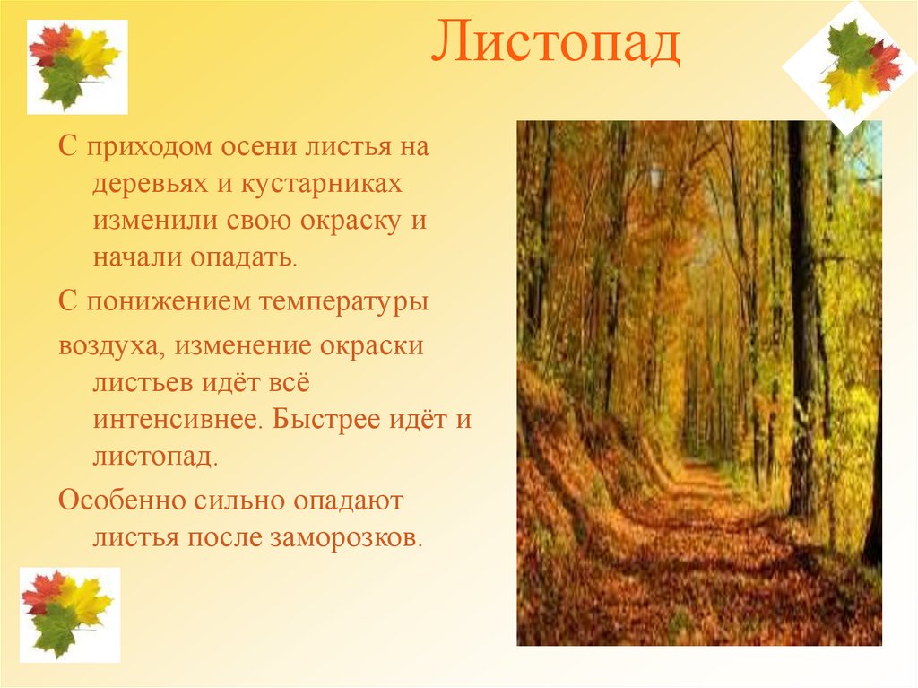 Составить план конспект экскурсии в природу осень