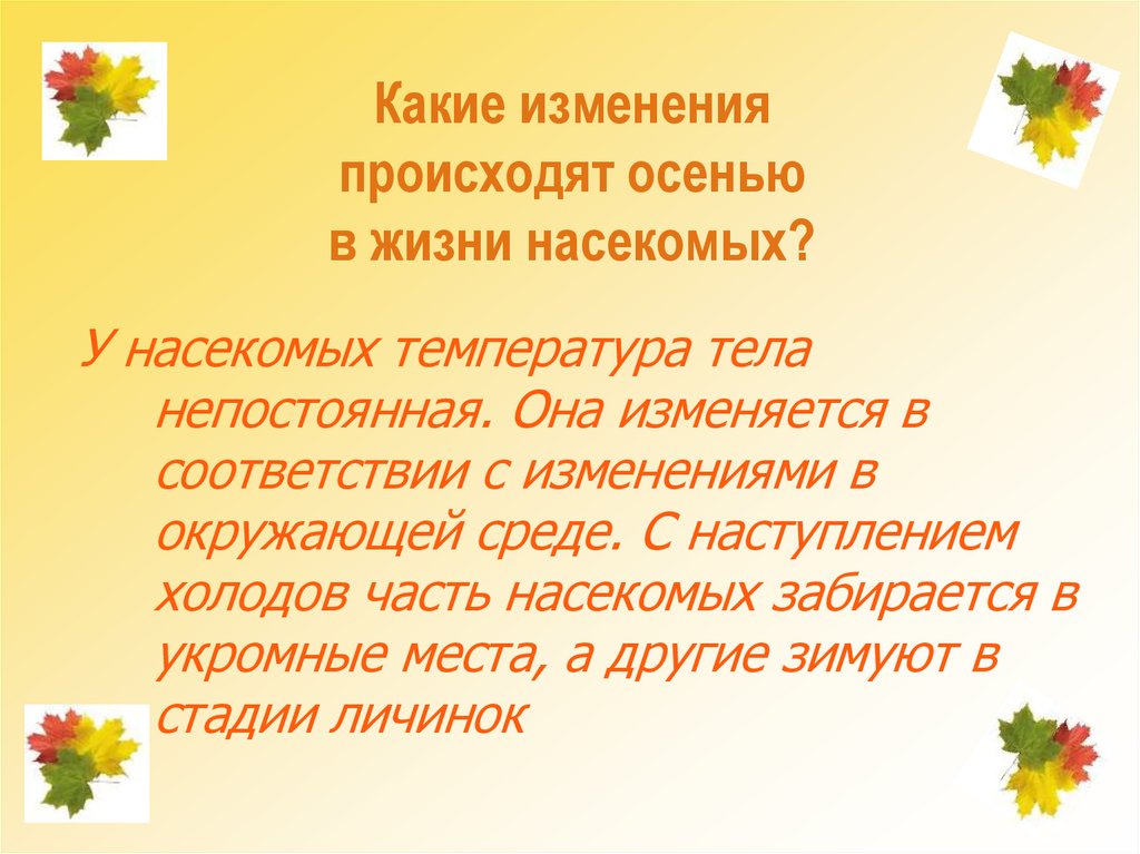 В гости к осени 2 класс окружающий мир презентация