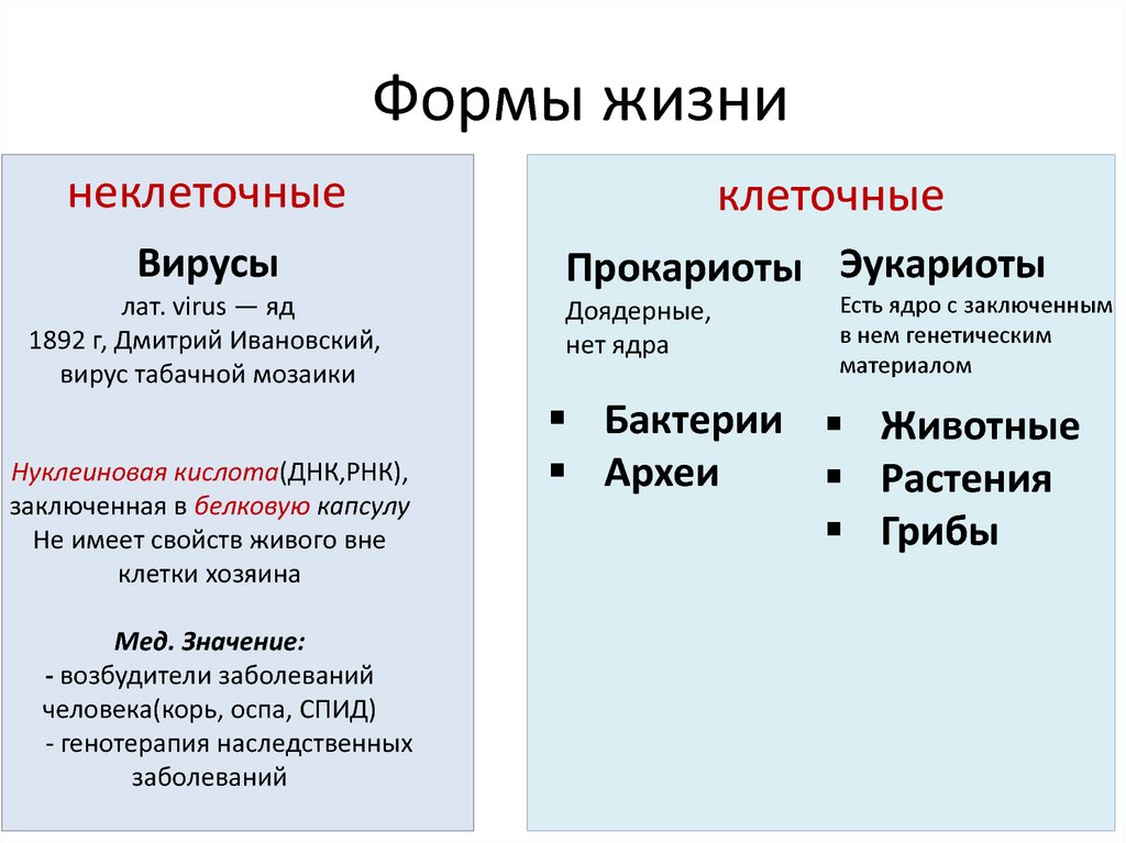 Формы жизни схема