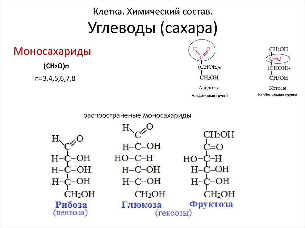 Элементы входящие в состав углеводов