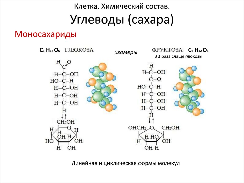 Состав углеводов