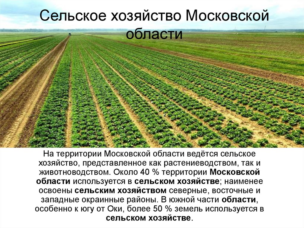 Контрольная работа: Сельское хозяйство Московской области