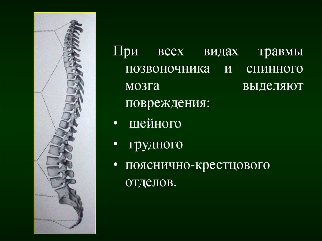 Сотрясение позвоночника. Повреждение грудного отдела спинного мозга. Перелом позвоночника с повреждением спинного мозга. Травма спинного мозга грудного отдела. Повреждение шейного отдела спинного мозга.