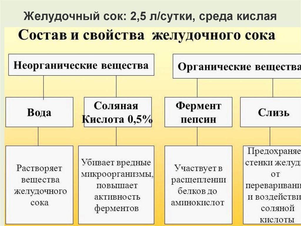 Желудочный сок состав. Состав и свойства пищеварительных соков. Опишите состав желудочного сока. Компоненты желудочного сока таблица. Состав желудочного сока схема.