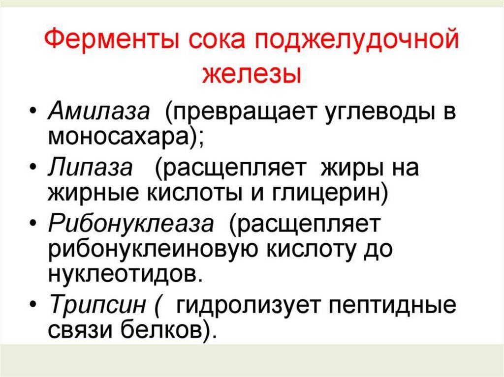 Ферменты сока толстой кишки. Панкреатическая амилаза расщепляет. Трипсин расщепляет. Рибонуклеаза липаза. Рибонуклеаза расщепляет.