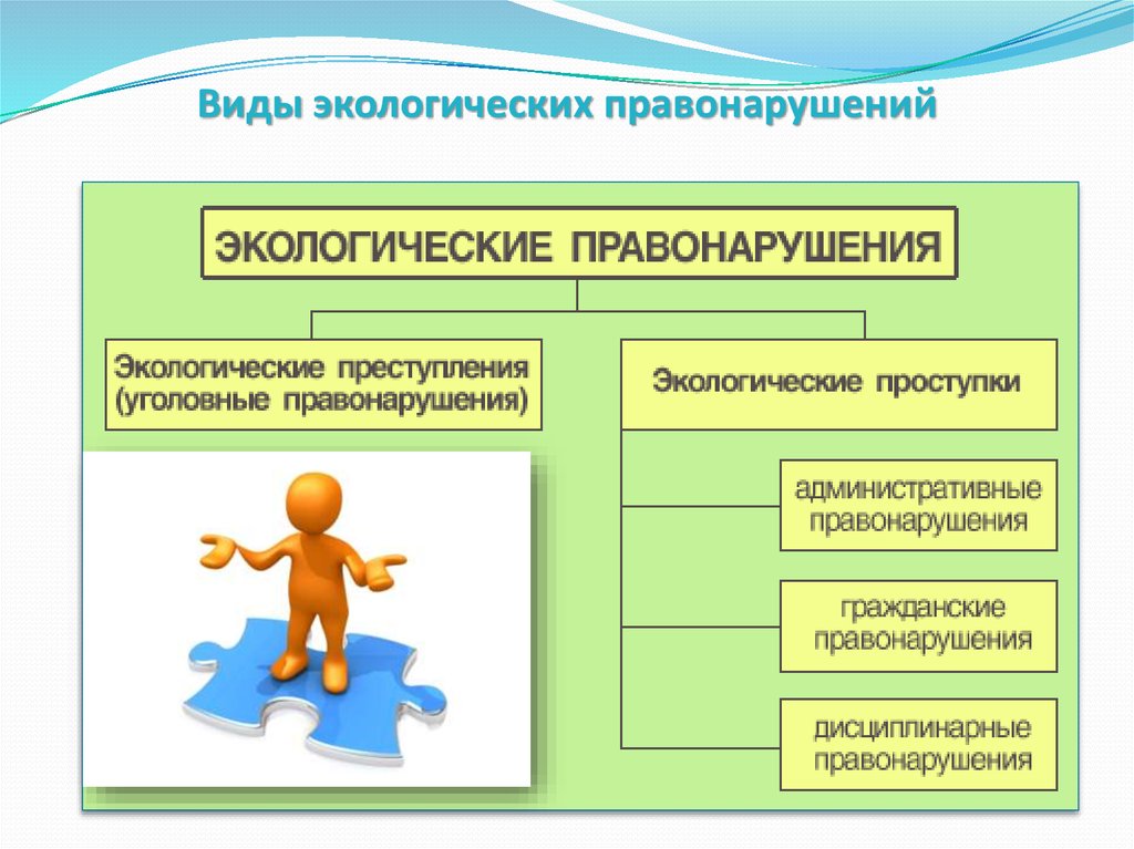 Схема юридической ответственности за экологические правонарушения по видам природных объектов