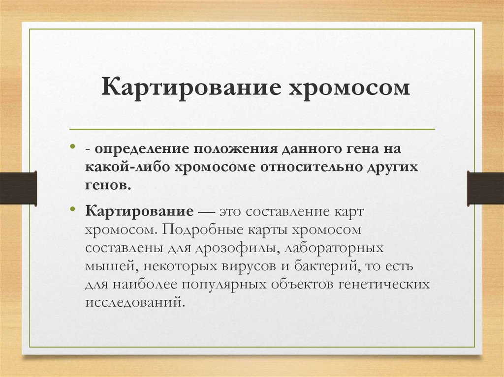 Картирование хромосом человека презентация 10 класс