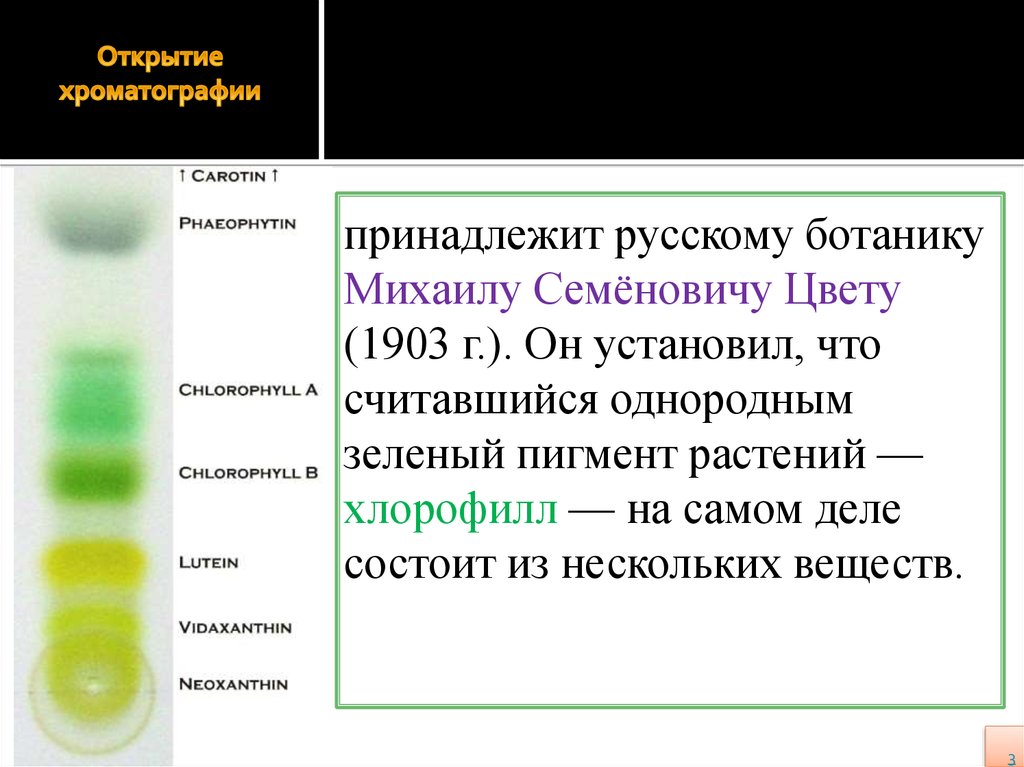 Впервые значение хлорофилла установил русский ученый