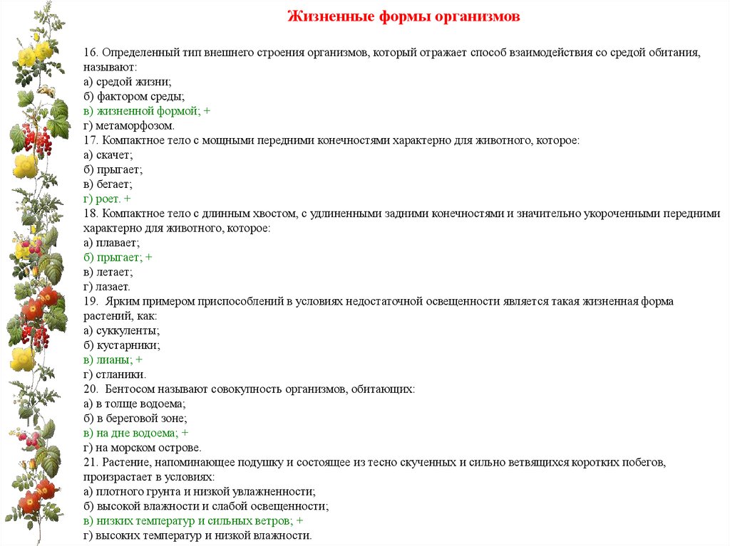 Формы организмов. Жизненные формы организмов. Жизненные формы растительных организмов. Жизненные формы организмов: растения.. Определите жизненные формы организмов.