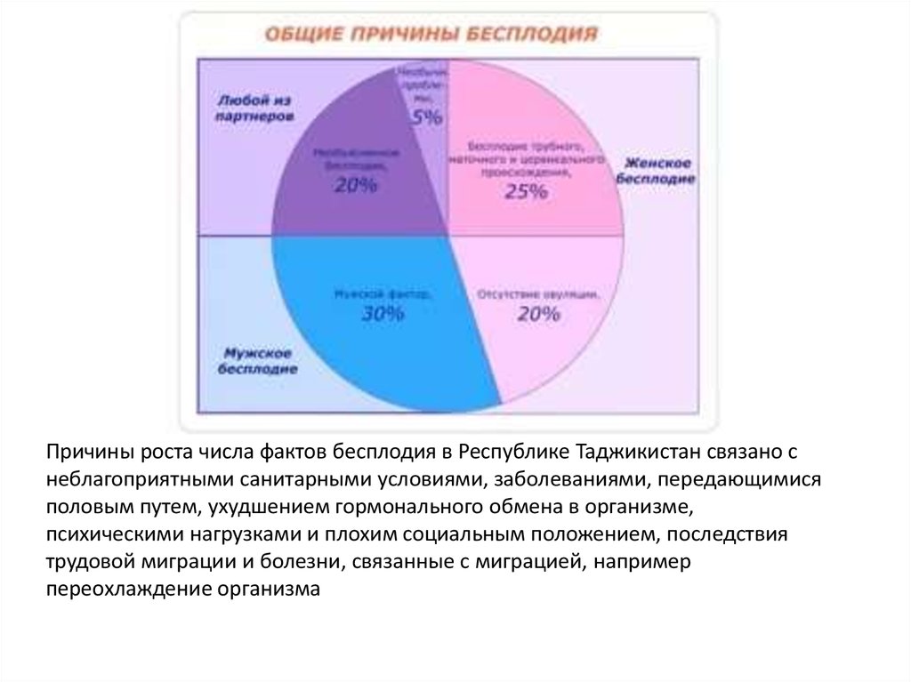 Республика Таджикистан - презентация онлайн