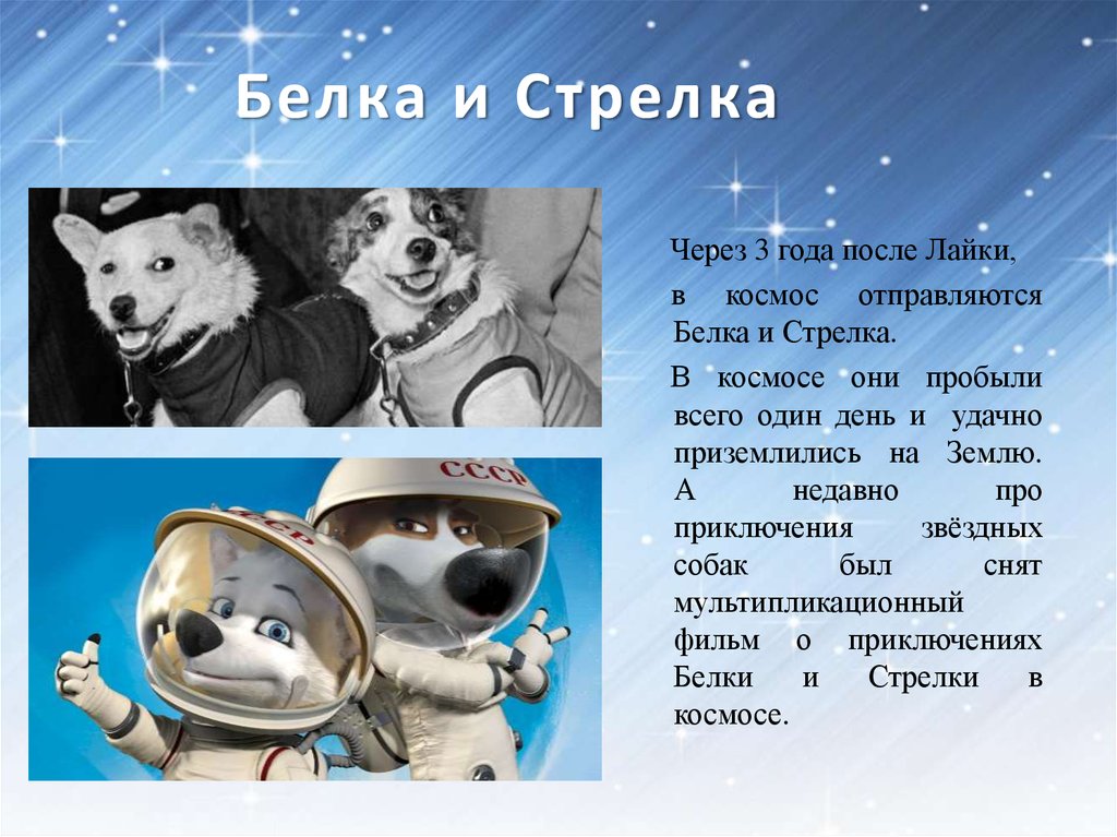 Год первого полета в космос собак. Белка и стрелка. Первые космонавты животные. Первый полёт в космос белка и стрелка. Животные в космосе для детей.